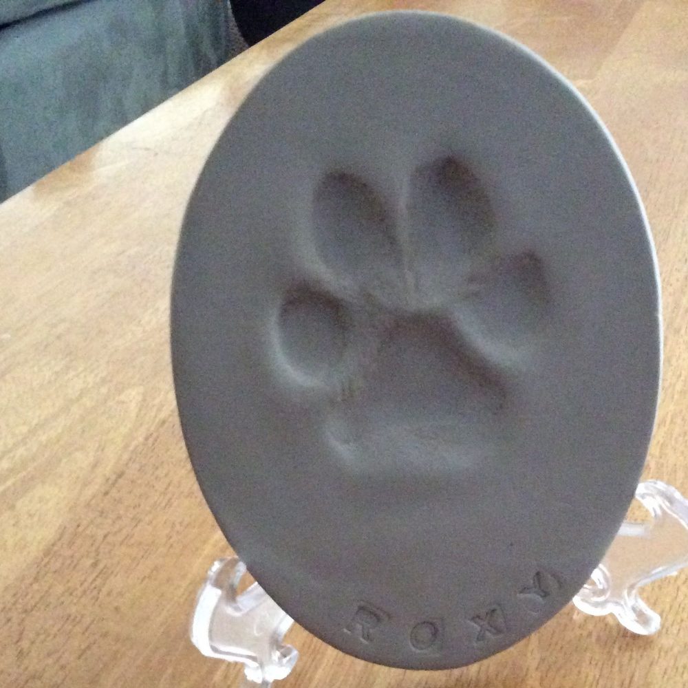 Meet your Posher, Paige